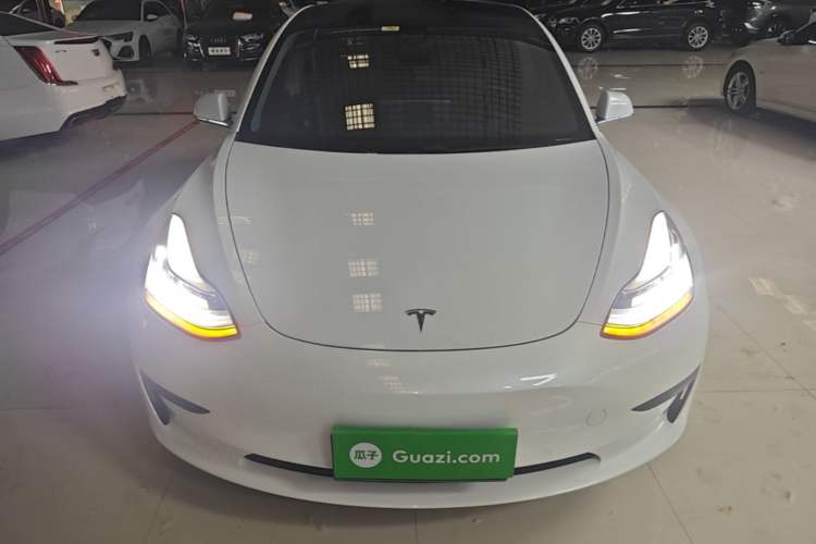 Used Tesla Model 3 2020 Standard Range Rear-Wheel Drive Upgraded Version Front