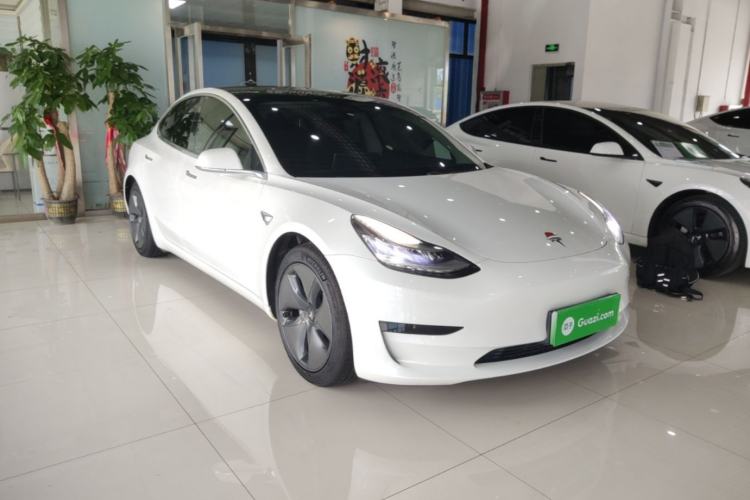 Used Tesla Model 3 2020 Standard Range Rear-Wheel Drive Upgraded Version Front Right 45 Deg