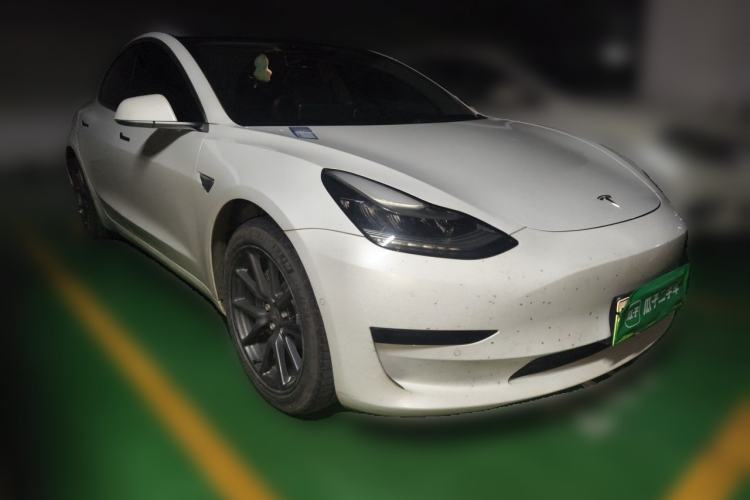 Used Tesla Model 3 2020 Standard Range Rear-Wheel Drive Upgraded Version Front Right 45 Deg