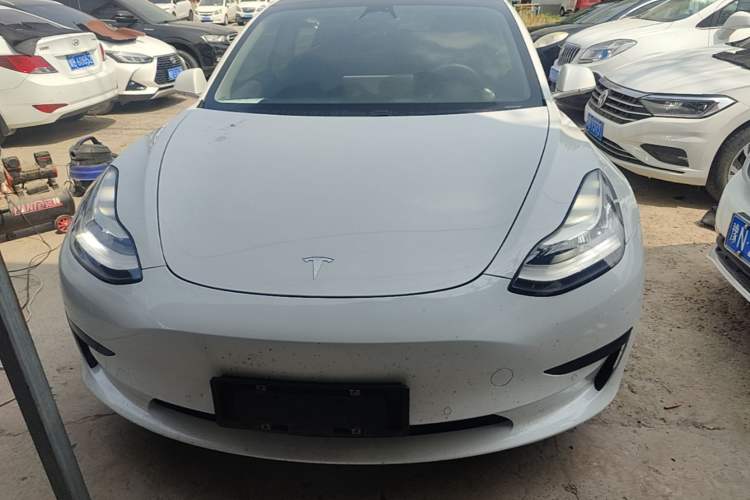 Used Tesla Model 3 2020 Revised Version Standard Range Rear-Wheel Drive – Upgraded Edition Front