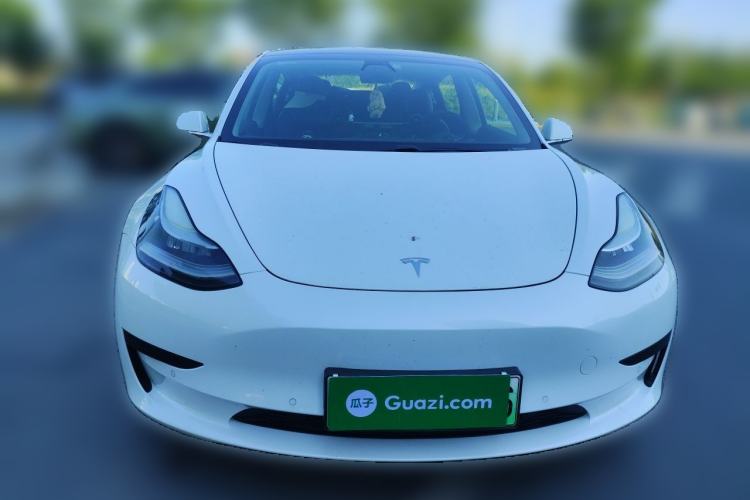 Used Tesla Model 3 2020 Standard Range Rear-Wheel Drive Upgraded Version Front