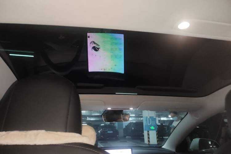 Used Tesla Model 3 2020 Refreshed Version Long-Range Rear-Wheel Drive Headliner