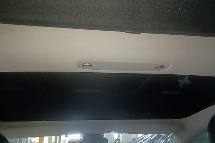Used Tesla Model 3 2020 Refreshed Version Long-Range Rear-Wheel Drive Headliner