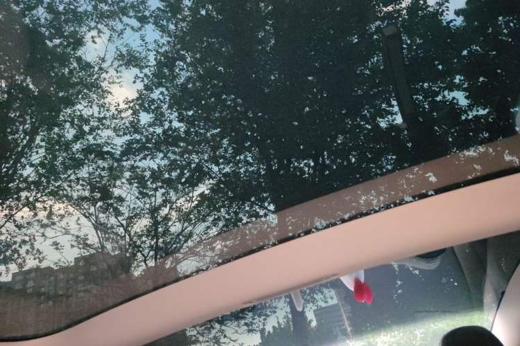 Used Tesla Model 3 2020 Refreshed Version Long-Range Rear-Wheel Drive Headliner