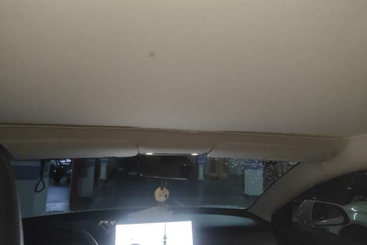 Used Tesla Model 3 2020 Revised Version Standard Range Rear-Wheel Drive – Upgraded Edition Headliner
