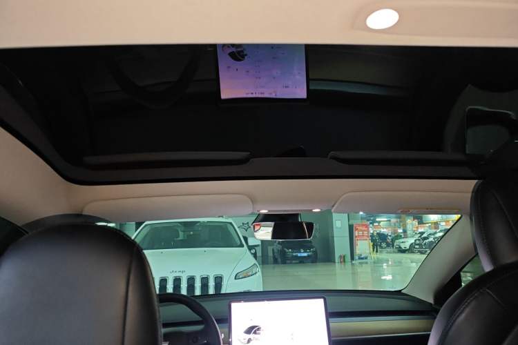 Used Tesla Model 3 2020 Standard Range Rear-Wheel Drive Upgraded Version Headliner