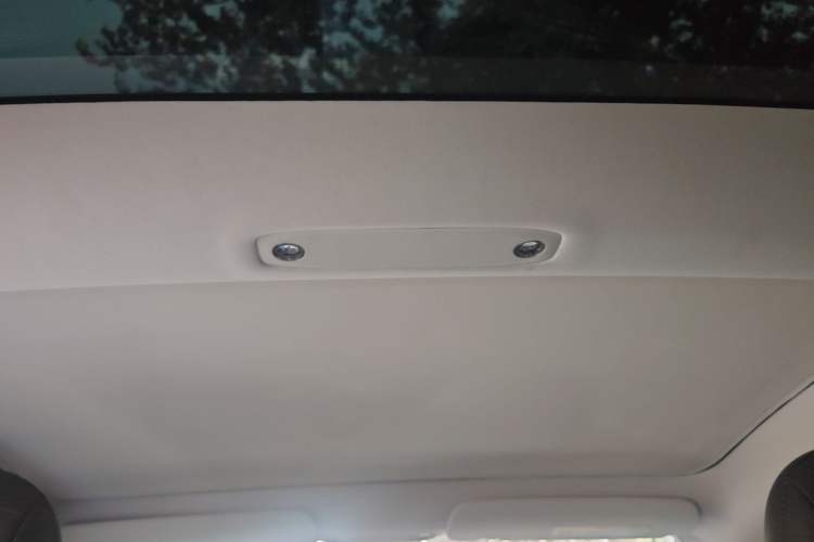 Used Tesla Model 3 2020 Standard Range Rear-Wheel Drive Upgraded Version Headliner