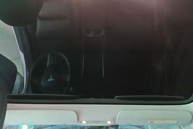 Used Tesla Model 3 2020 Refreshed Version Long-Range Rear-Wheel Drive Headliner