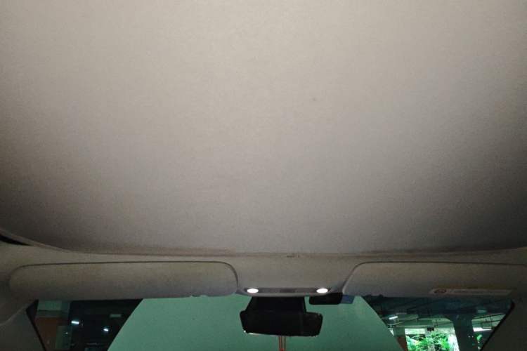 Used Tesla Model 3 2020 Standard Range Rear-Wheel Drive Upgraded Version Headliner