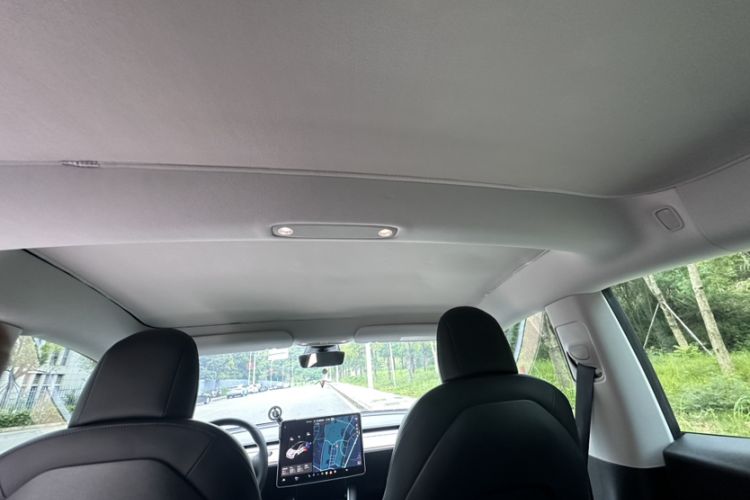 Used Tesla Model 3 2020 Revised Version Standard Range Rear-Wheel Drive – Upgraded Edition Headliner