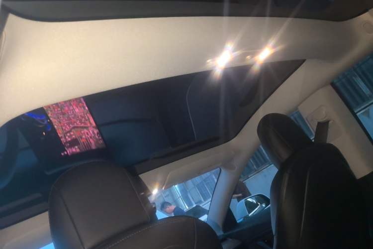 Used Tesla Model 3 2020 Standard Range Rear-Wheel Drive Upgraded Version Headliner