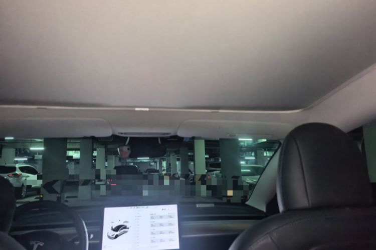 Used Tesla Model 3 2020 Revised Version Standard Range Rear-Wheel Drive – Upgraded Edition Headliner