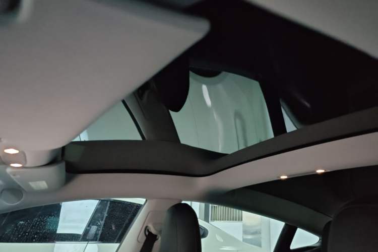 Used Tesla Model 3 2020 Standard Range Rear-Wheel Drive Upgraded Version Headliner