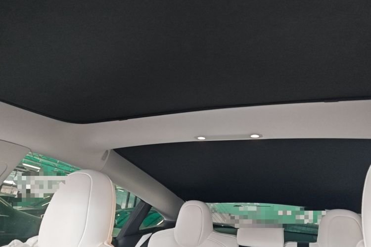 Used Tesla Model 3 2020 Refreshed Version Long-Range Rear-Wheel Drive Headliner