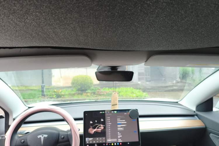 Used Tesla Model 3 2020 Revised Version Standard Range Rear-Wheel Drive – Upgraded Edition Headliner