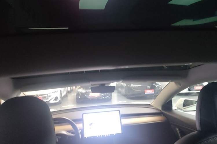 Used Tesla Model 3 2020 Standard Range Rear-Wheel Drive Upgraded Version Headliner