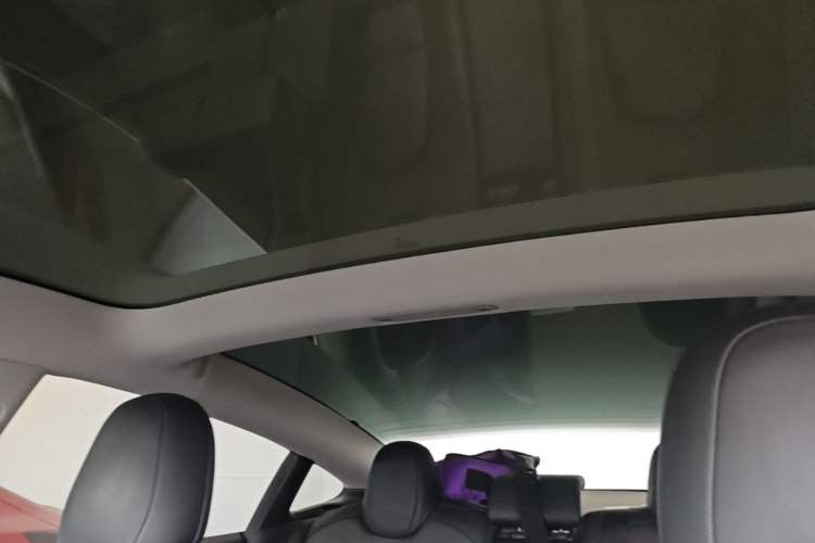Used Tesla Model 3 2020 Revised Version Standard Range Rear-Wheel Drive – Upgraded Edition Headliner
