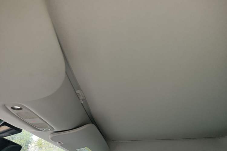 Used Tesla Model 3 2020 Refreshed Version Long-Range Rear-Wheel Drive Headliner