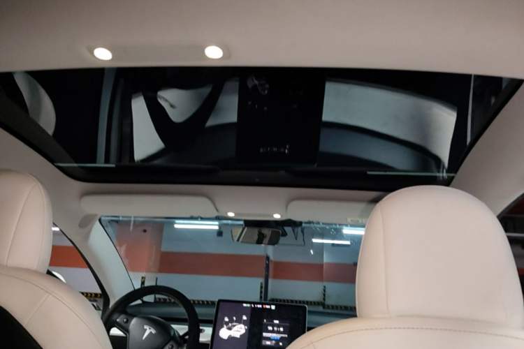 Used Tesla Model 3 2020 Revised Version Standard Range Rear-Wheel Drive – Upgraded Edition Headliner