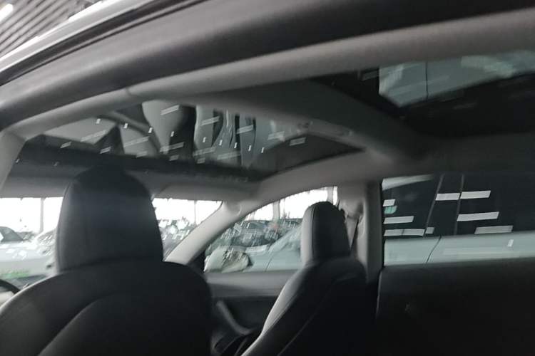Used Tesla Model 3 2020 Revised Version Standard Range Rear-Wheel Drive – Upgraded Edition Headliner