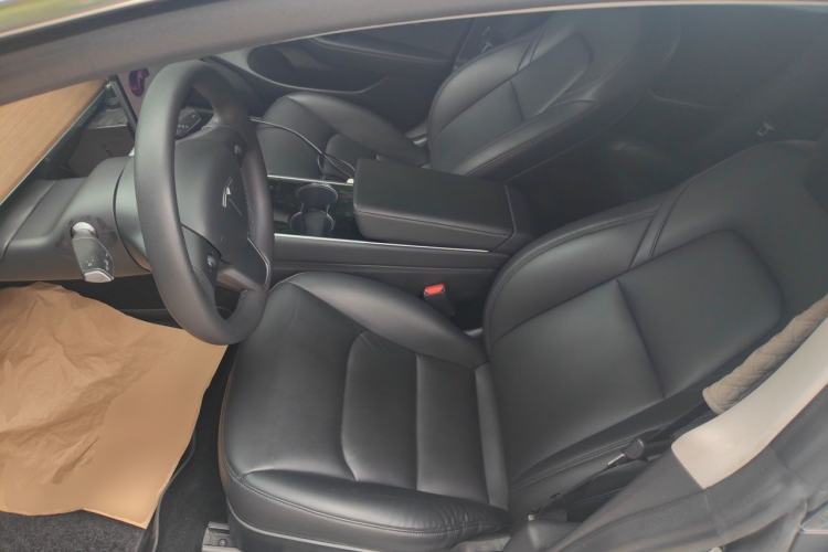 Used Tesla Model 3 2020 Standard Range Rear-Wheel Drive Upgraded Version Left Front Seat