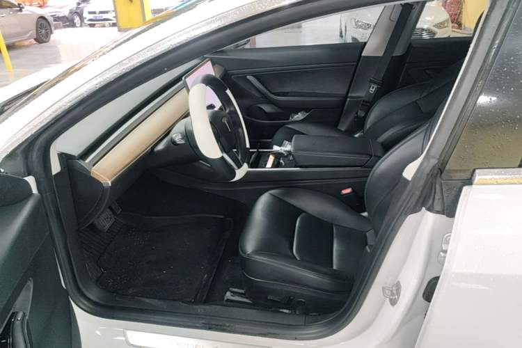 Used Tesla Model 3 2020 Standard Range Rear-Wheel Drive Upgraded Version Left Front Seat