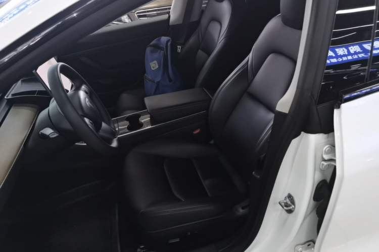Used Tesla Model 3 2020 Standard Range Rear-Wheel Drive Upgraded Version Left Front Seat
