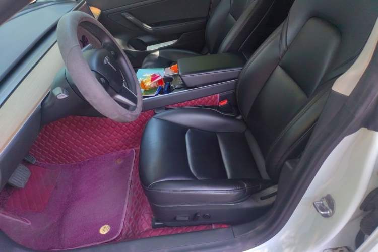 Used Tesla Model 3 2020 Standard Range Rear-Wheel Drive Upgraded Version Left Front Seat