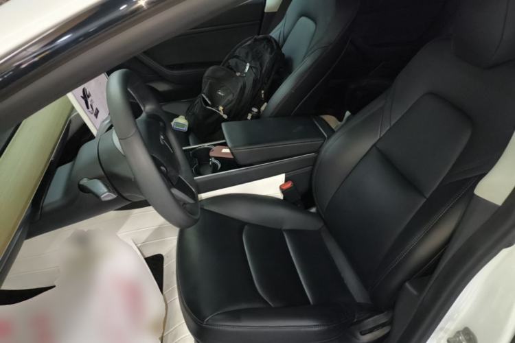 Used Tesla Model 3 2020 Standard Range Rear-Wheel Drive Upgraded Version Left Front Seat