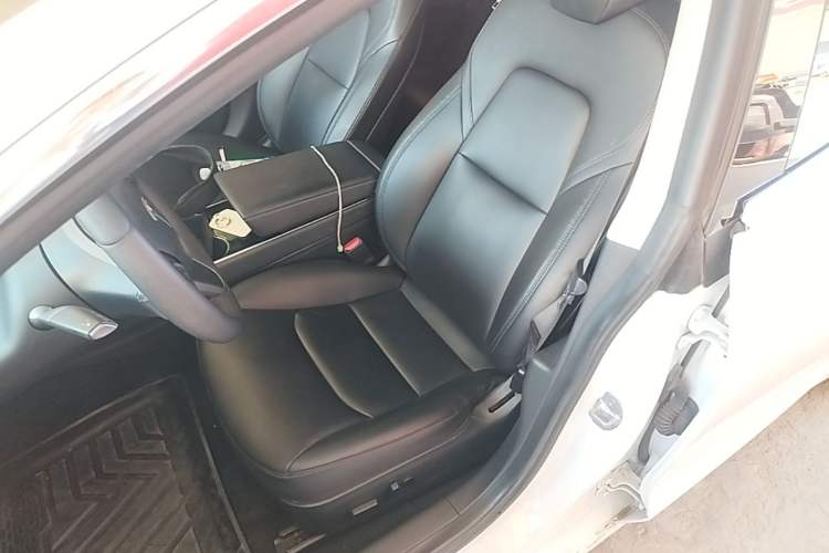Used Tesla Model 3 2020 Standard Range Rear-Wheel Drive Upgraded Version Left Front Seat