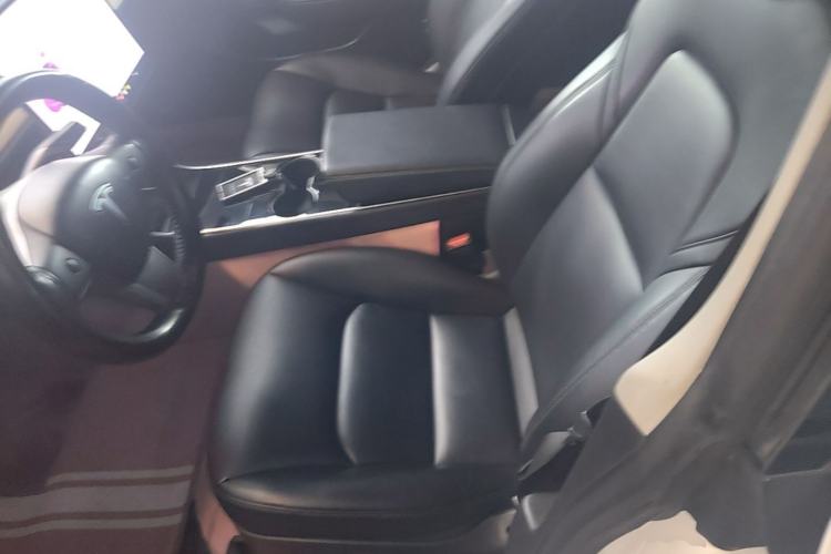 Used Tesla Model 3 2020 Standard Range Rear-Wheel Drive Upgraded Version Left Front Seat