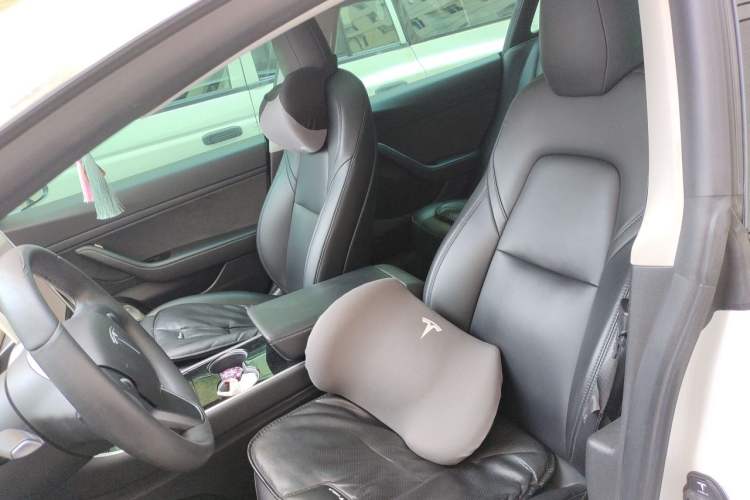 Used Tesla Model 3 2020 Standard Range Rear-Wheel Drive Upgraded Version Left Front Seat
