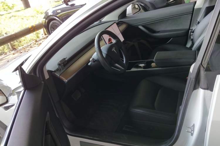Used Tesla Model 3 2020 Standard Range Rear-Wheel Drive Upgraded Version Left Front Seat