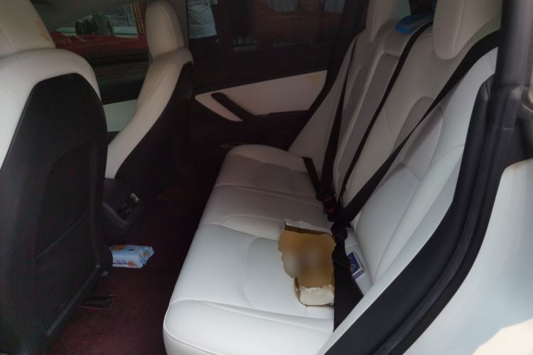 Used Tesla Model 3 2020 Refreshed Version Long-Range Rear-Wheel Drive Left Rear Seat