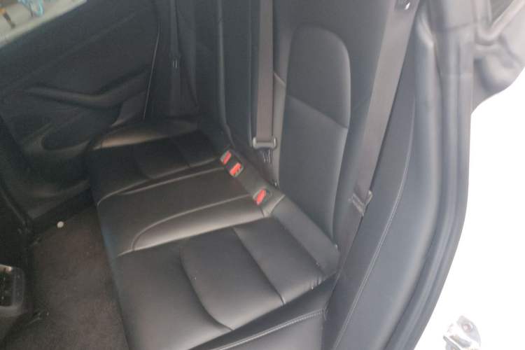 Used Tesla Model 3 2020 Refreshed Version Long-Range Rear-Wheel Drive Left Rear Seat