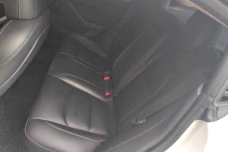 Used Tesla Model 3 2020 Standard Range Rear-Wheel Drive Upgraded Version Left Rear Seat