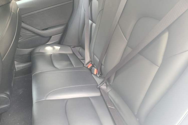 Used Tesla Model 3 2020 Refreshed Version Long-Range Rear-Wheel Drive Left Rear Seat