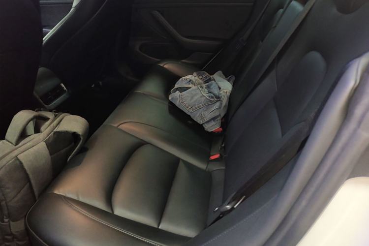 Used Tesla Model 3 2020 Revised Version Standard Range Rear-Wheel Drive – Upgraded Edition Left Rear Seat