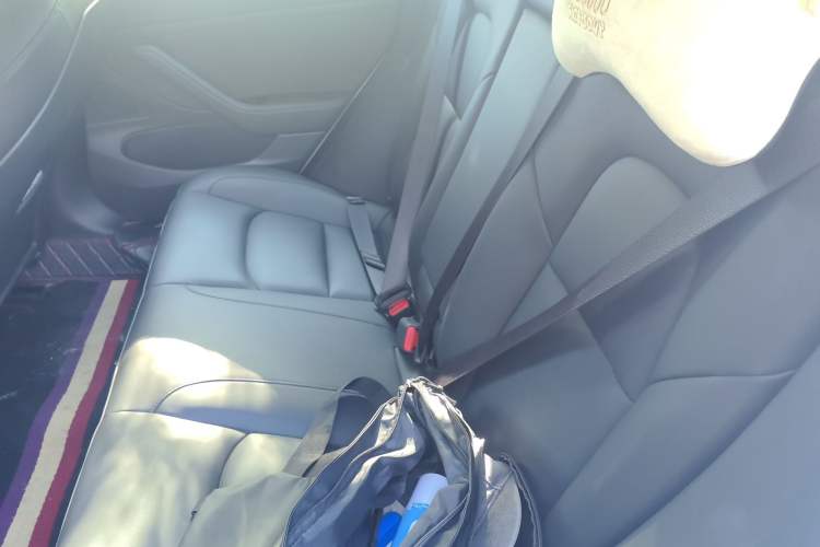Used Tesla Model 3 2020 Revised Version Standard Range Rear-Wheel Drive – Upgraded Edition Left Rear Seat