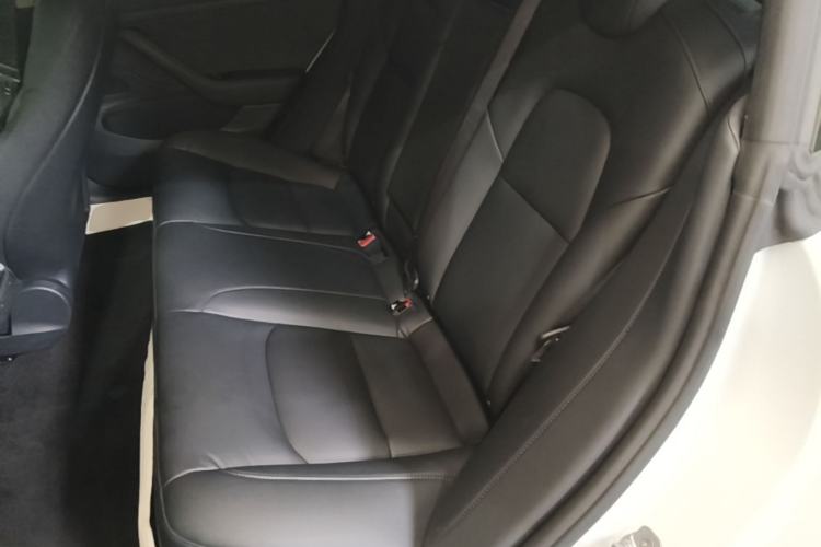 Used Tesla Model 3 2020 Revised Version Standard Range Rear-Wheel Drive – Upgraded Edition Left Rear Seat