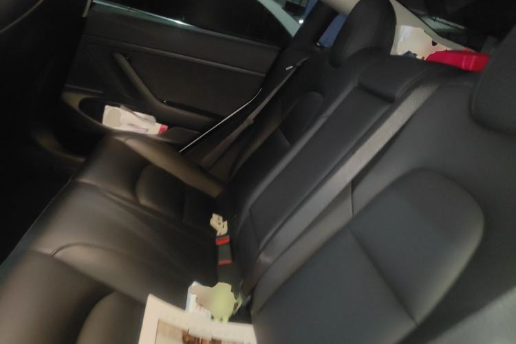 Used Tesla Model 3 2020 Revised Version Standard Range Rear-Wheel Drive – Upgraded Edition Left Rear Seat