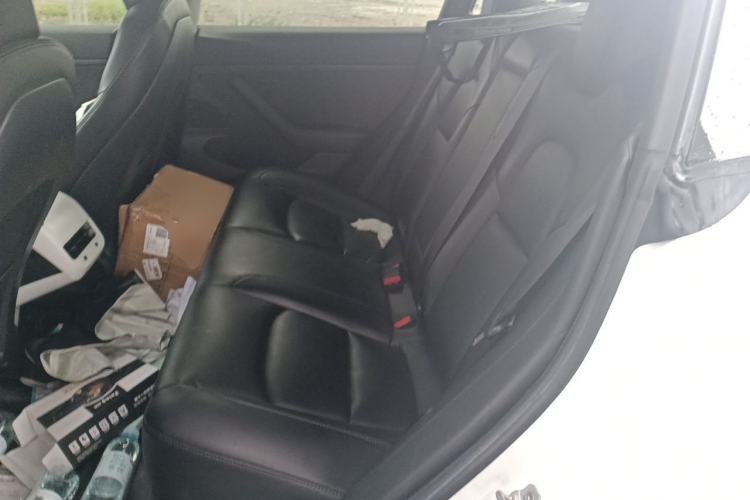 Used Tesla Model 3 2020 Standard Range Rear-Wheel Drive Upgraded Version Left Rear Seat