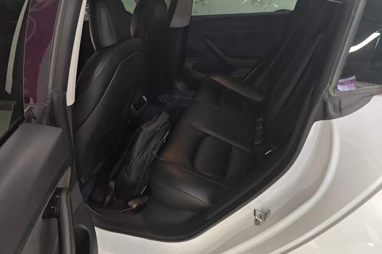 Used Tesla Model 3 2020 Standard Range Rear-Wheel Drive Upgraded Version Left Rear Seat