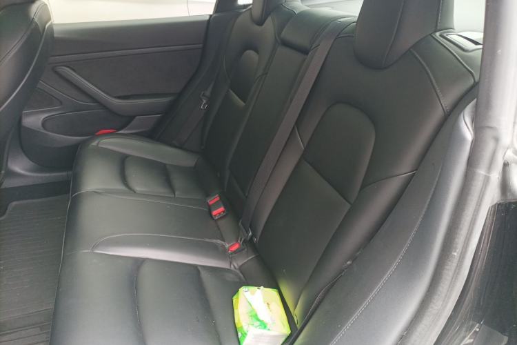 Used Tesla Model 3 2020 Standard Range Rear-Wheel Drive Upgraded Version Left Rear Seat