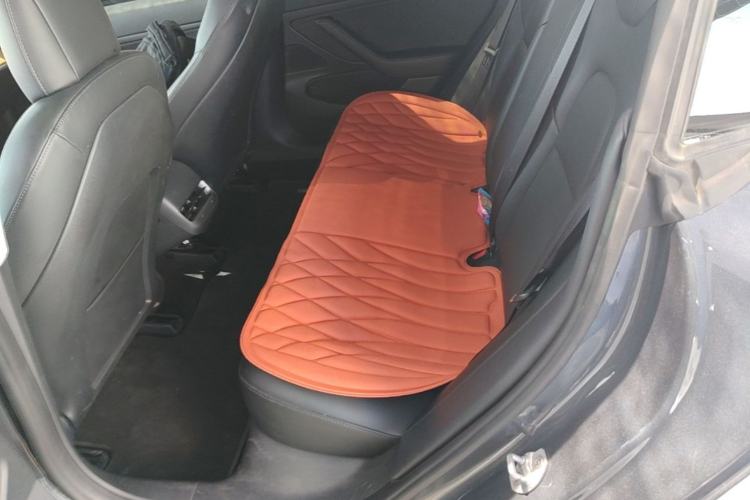 Used Tesla Model 3 2020 Long-Range Rear-Wheel-Drive Version Left Rear Seat