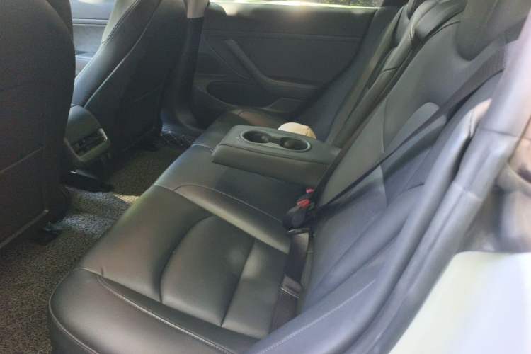 Used Tesla Model 3 2020 Revised Version Standard Range Rear-Wheel Drive – Upgraded Edition Left Rear Seat