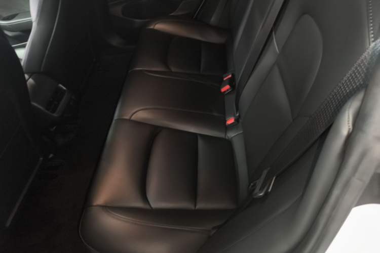 Used Tesla Model 3 2020 Standard Range Rear-Wheel Drive Upgraded Version Left Rear Seat