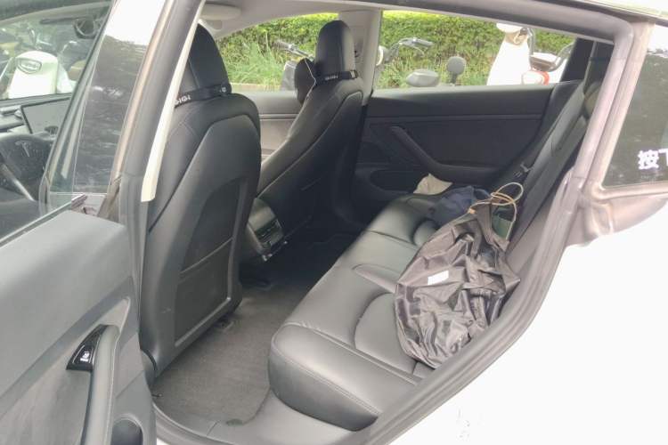 Used Tesla Model 3 2020 Revised Version Standard Range Rear-Wheel Drive – Upgraded Edition Left Rear Seat