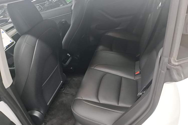 Used Tesla Model 3 2020 Revised Version Standard Range Rear-Wheel Drive – Upgraded Edition Left Rear Seat