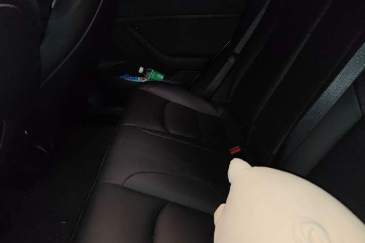 Used Tesla Model 3 2020 Revised Version Standard Range Rear-Wheel Drive – Upgraded Edition Left Rear Seat